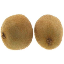KIWI VERT ZESPRI CAL30 48PCS